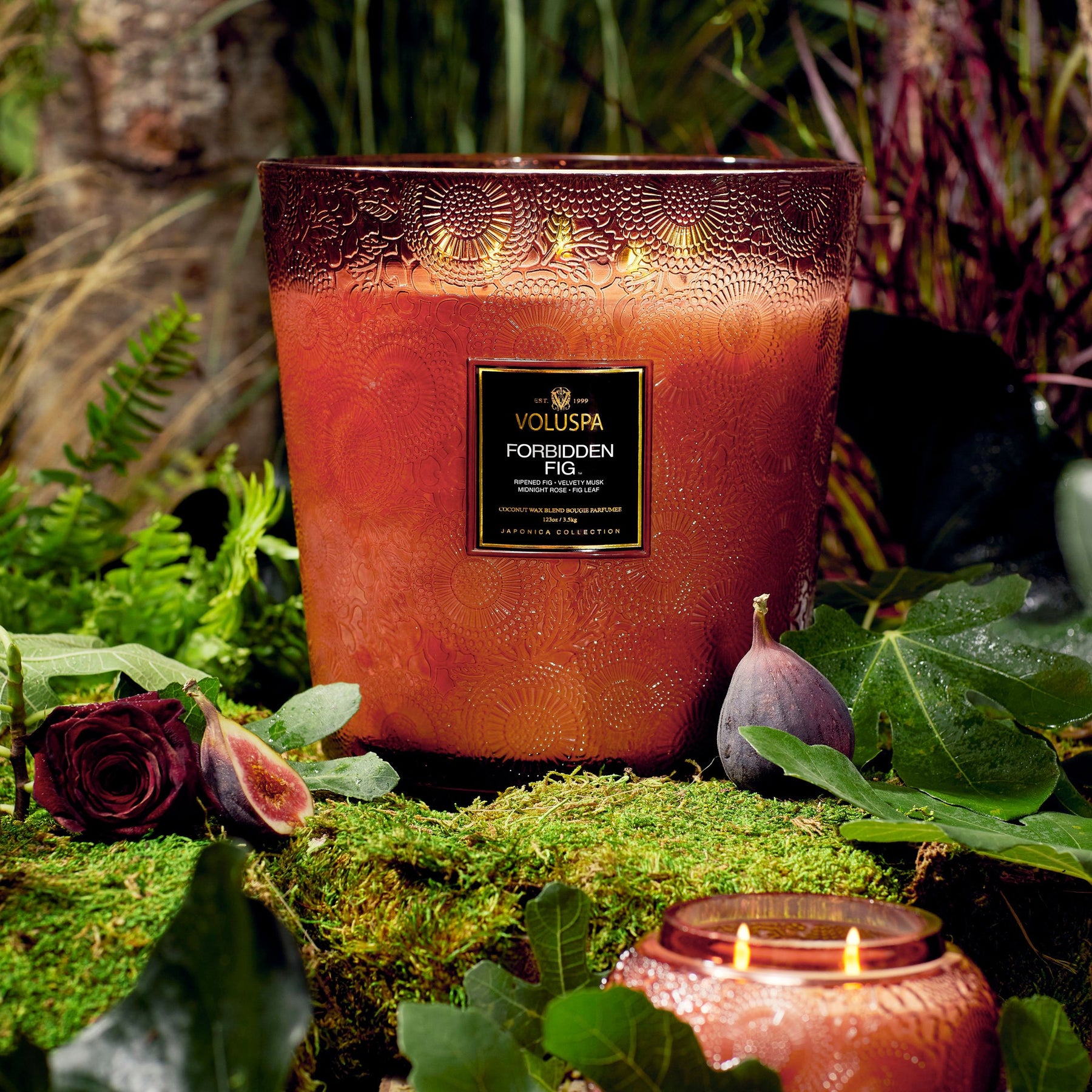 tobacco and fig candle White Tea, & Leaf Candle: 6oz Coconut Wax Travel romantic blend of caramelized brown sugar and perfectly ripened fig western brook | Accents |
