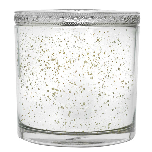 Silver Birch Peppercorn - Grande Maison Candle