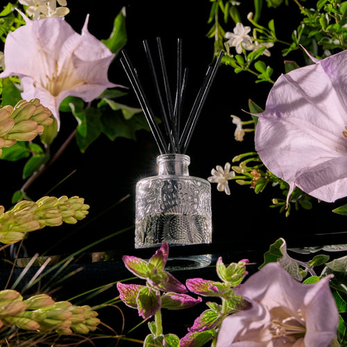 Jasmine Midnight Blooms - Reed Diffuser