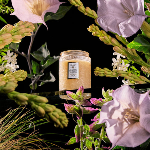 Jasmine Midnight Blooms - Small Jar Candle