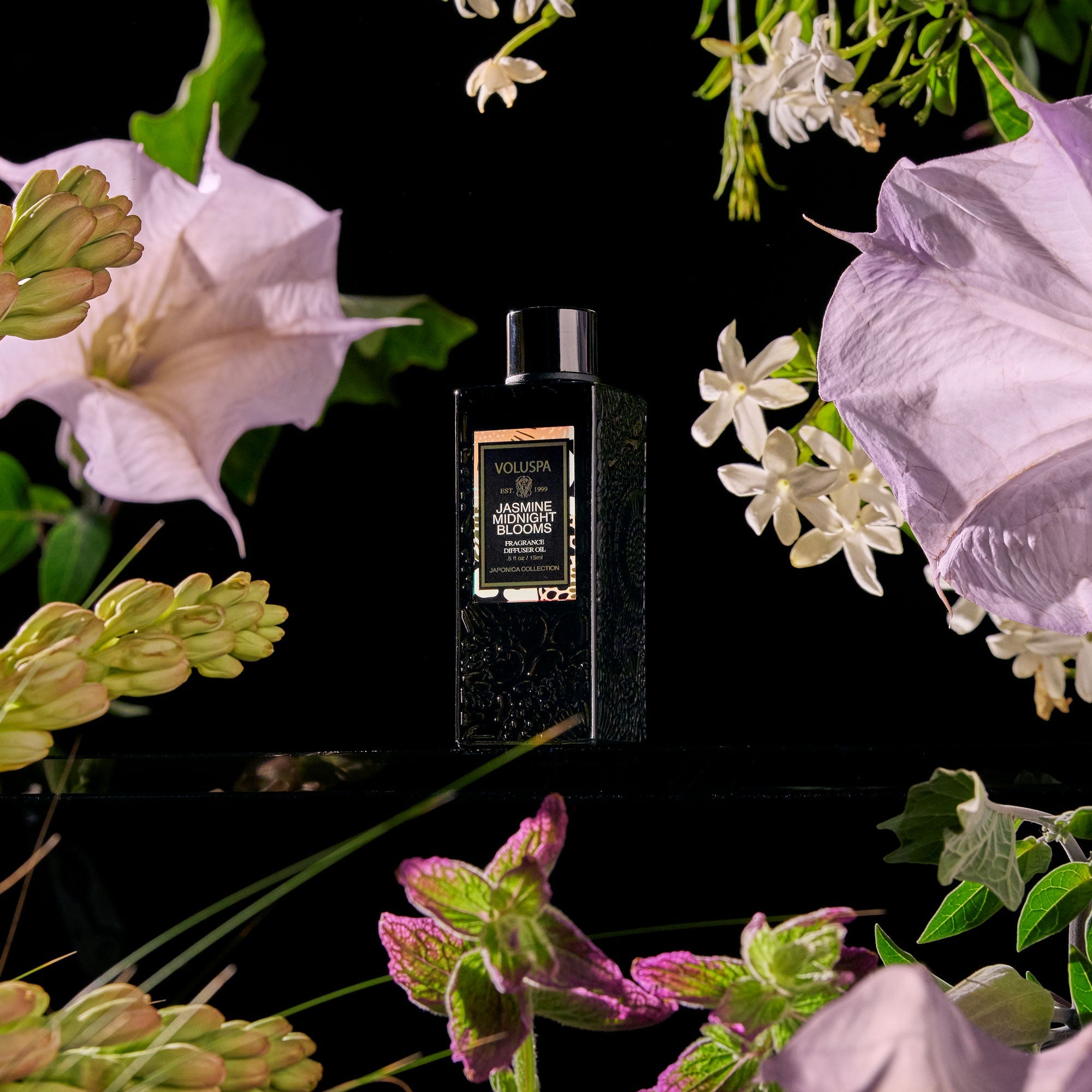 Jasmine Midnight Blooms - Huile de parfum pour diffuseur ultrasonique
